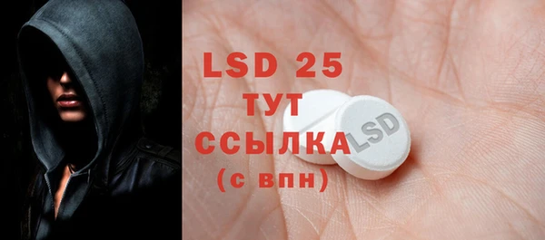 ГАЛЛЮЦИНОГЕННЫЕ ГРИБЫ Кулебаки