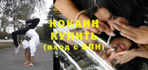 ГАЛЛЮЦИНОГЕННЫЕ ГРИБЫ Кулебаки