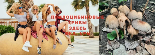 ГАЛЛЮЦИНОГЕННЫЕ ГРИБЫ Кулебаки
