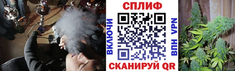 Купить закладки  Жирновск  Конопля индика 